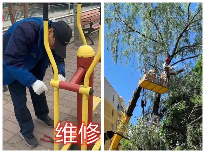 口的“爆改”打造多彩龙腾苑六区社区k8凯发马竞赞助“六色助力”！家门(图18)