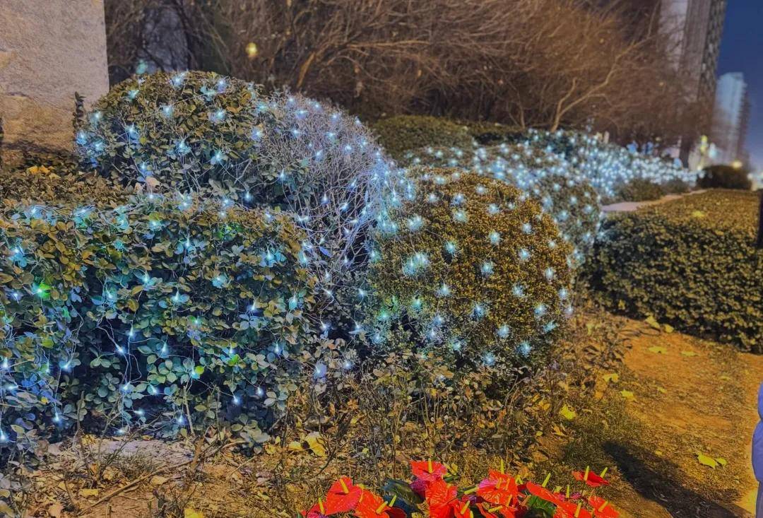 快把几千万春节游客闪瞎了山西人的“蹦迪”灯笼又(图21)